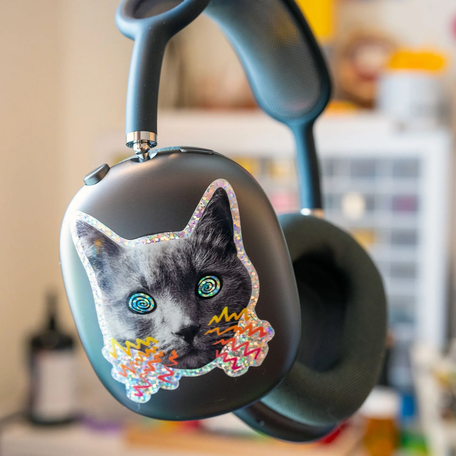 hypno-cat-2.jpg