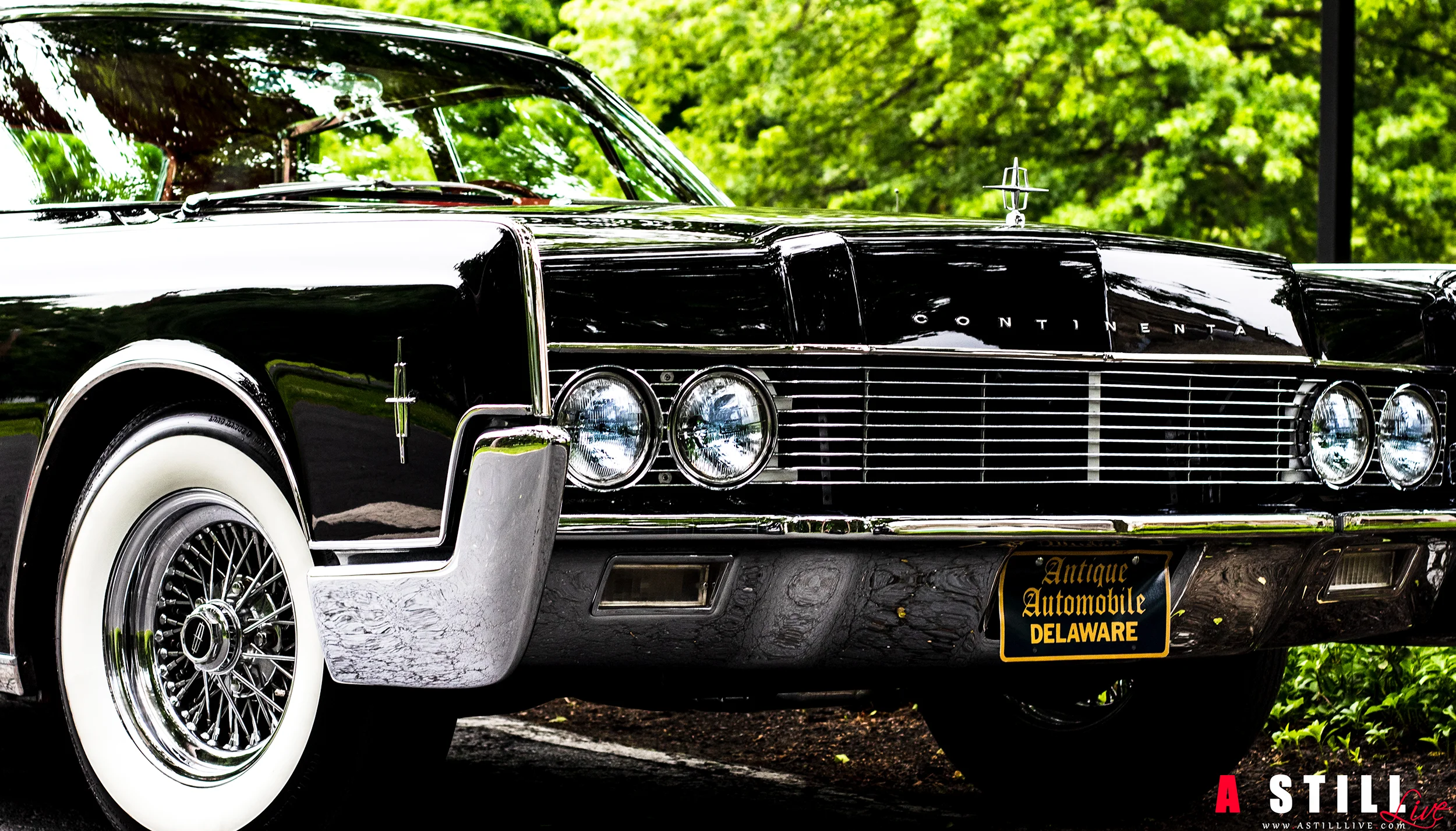 LR Edit-9200.jpg