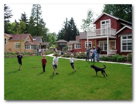 pilot project image.jpg