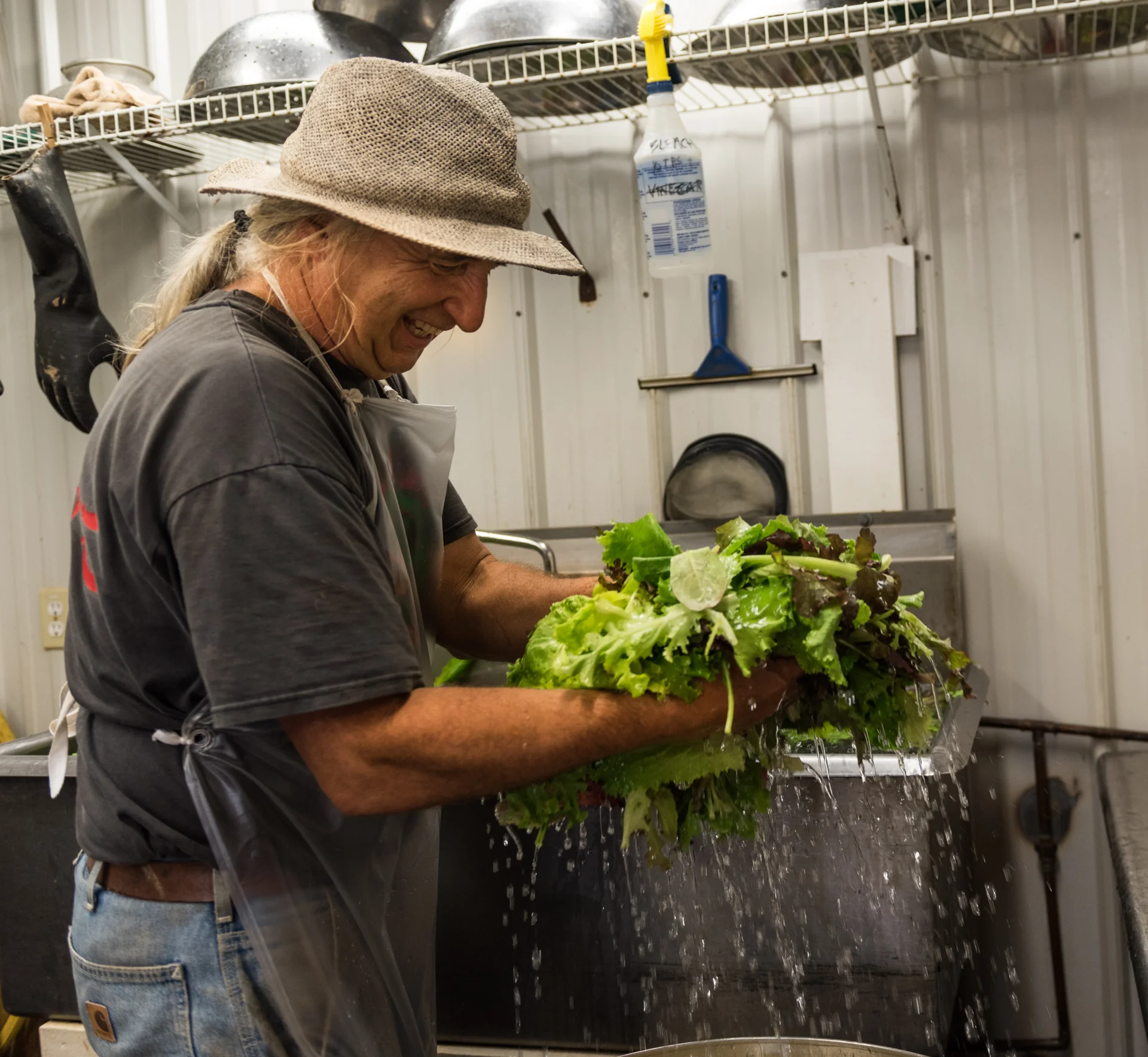 Kip Rondy washes lettuce before packing and shipping it to market.