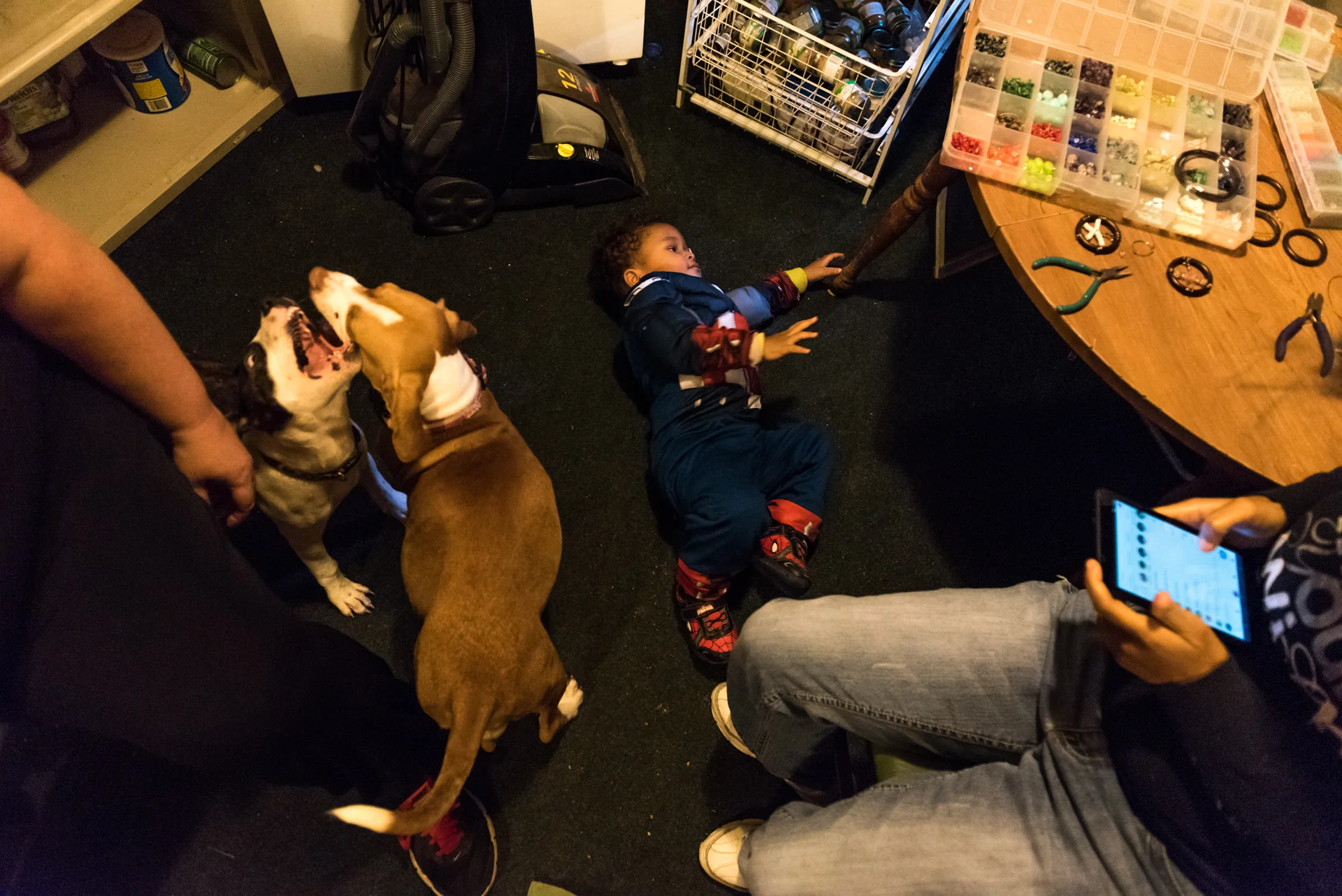 Perkins' grandson Tyrell Handa (2 years old) plays on the floor in his Halloween costume while Brigit and Maggie May fight next to him. Perkins and her daughter Desirae take no notice.