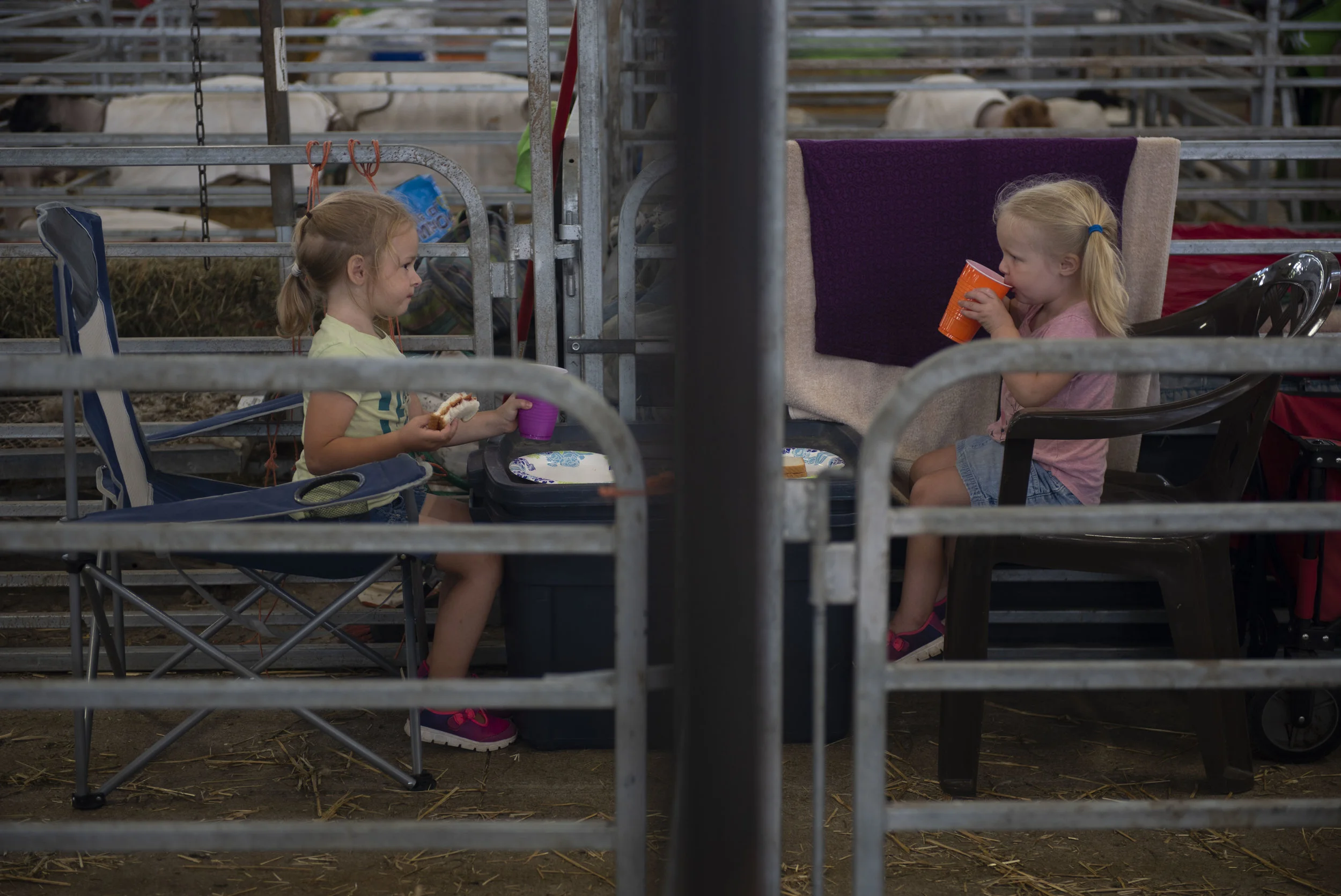  Two girls eat lunch in the sheep barn. 
