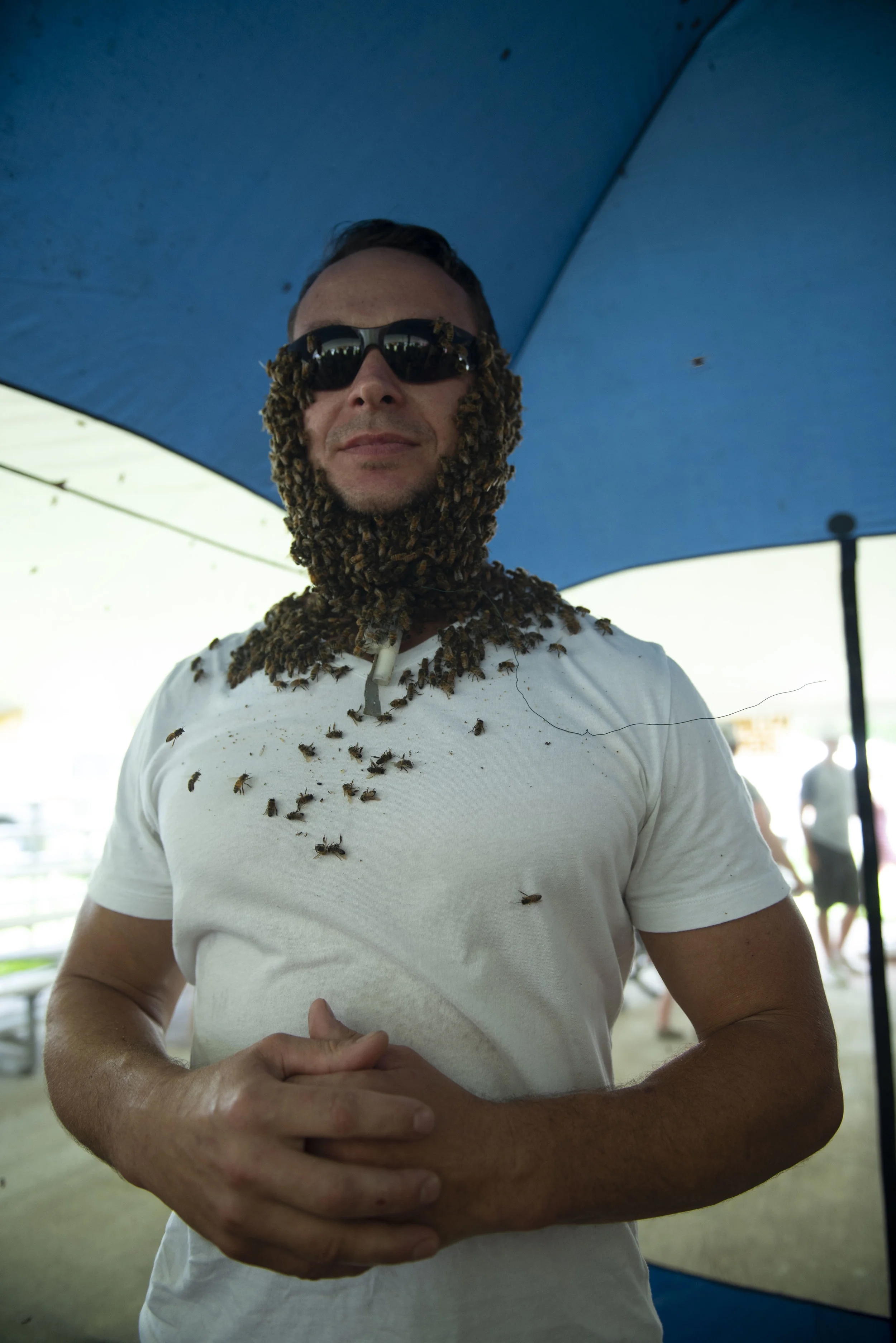  A man with a beard of bees poses for a portrait. 