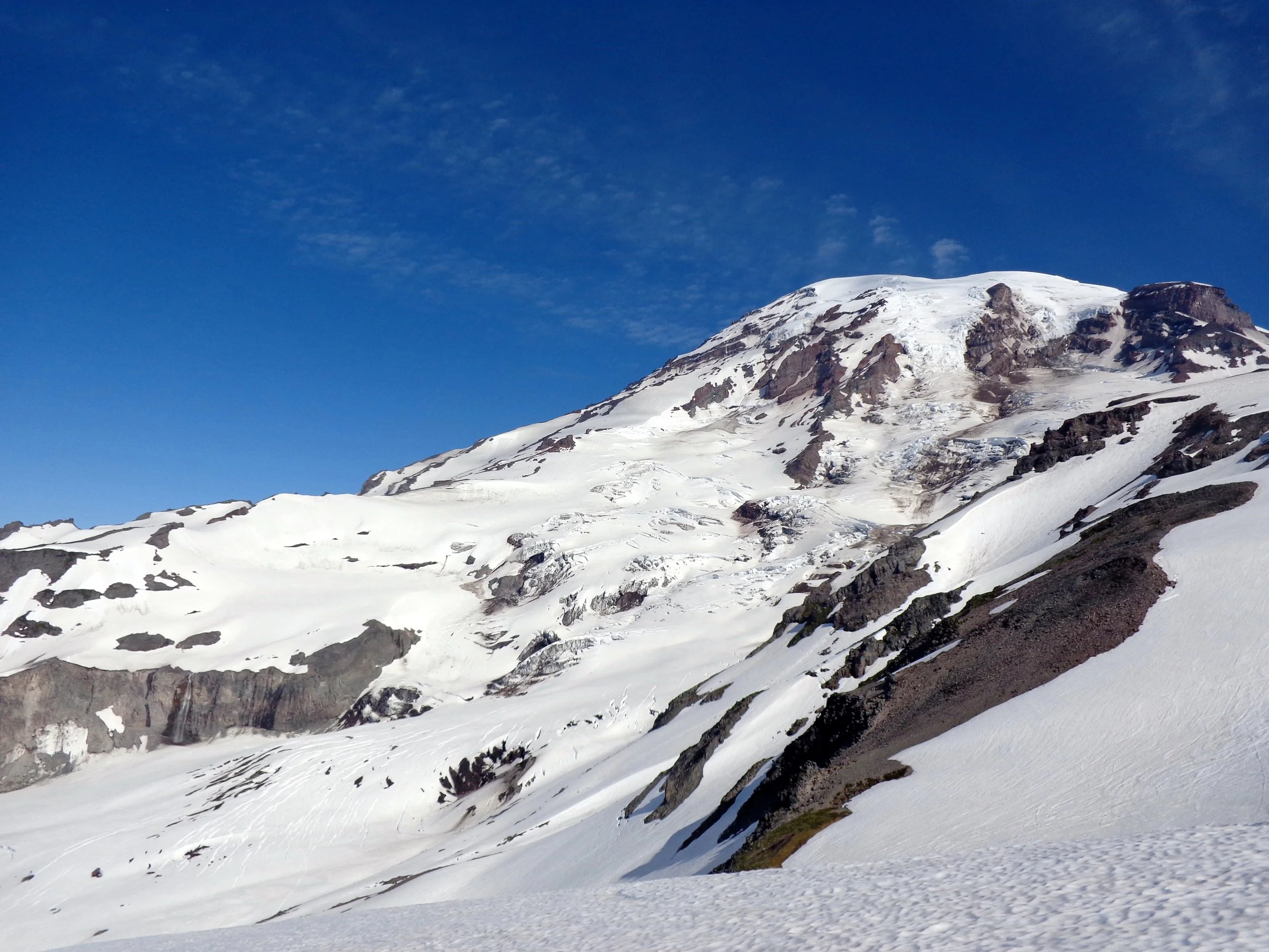 Wilson Nisqually and the Turtle.JPG