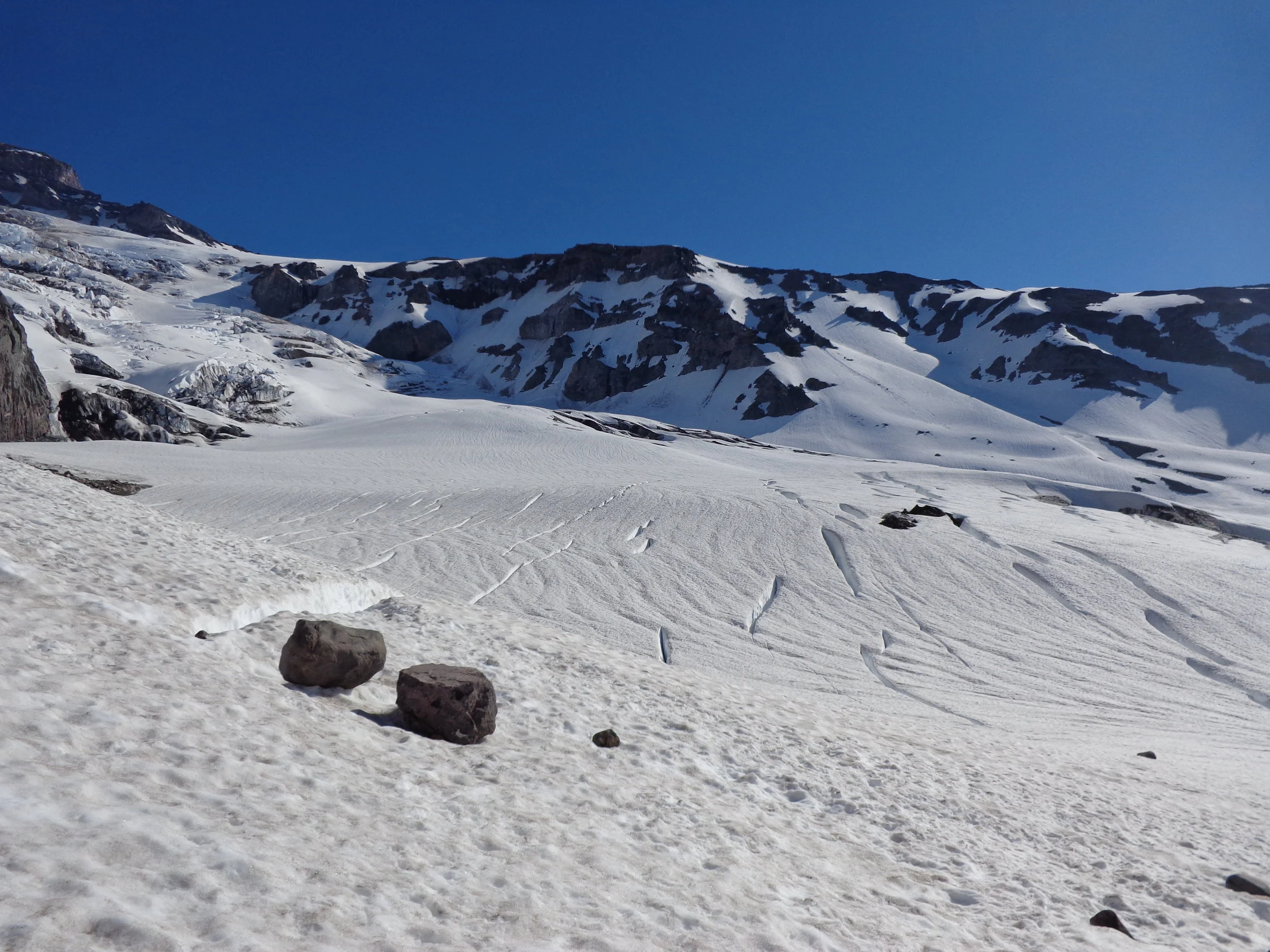 Across the Nisqually.JPG