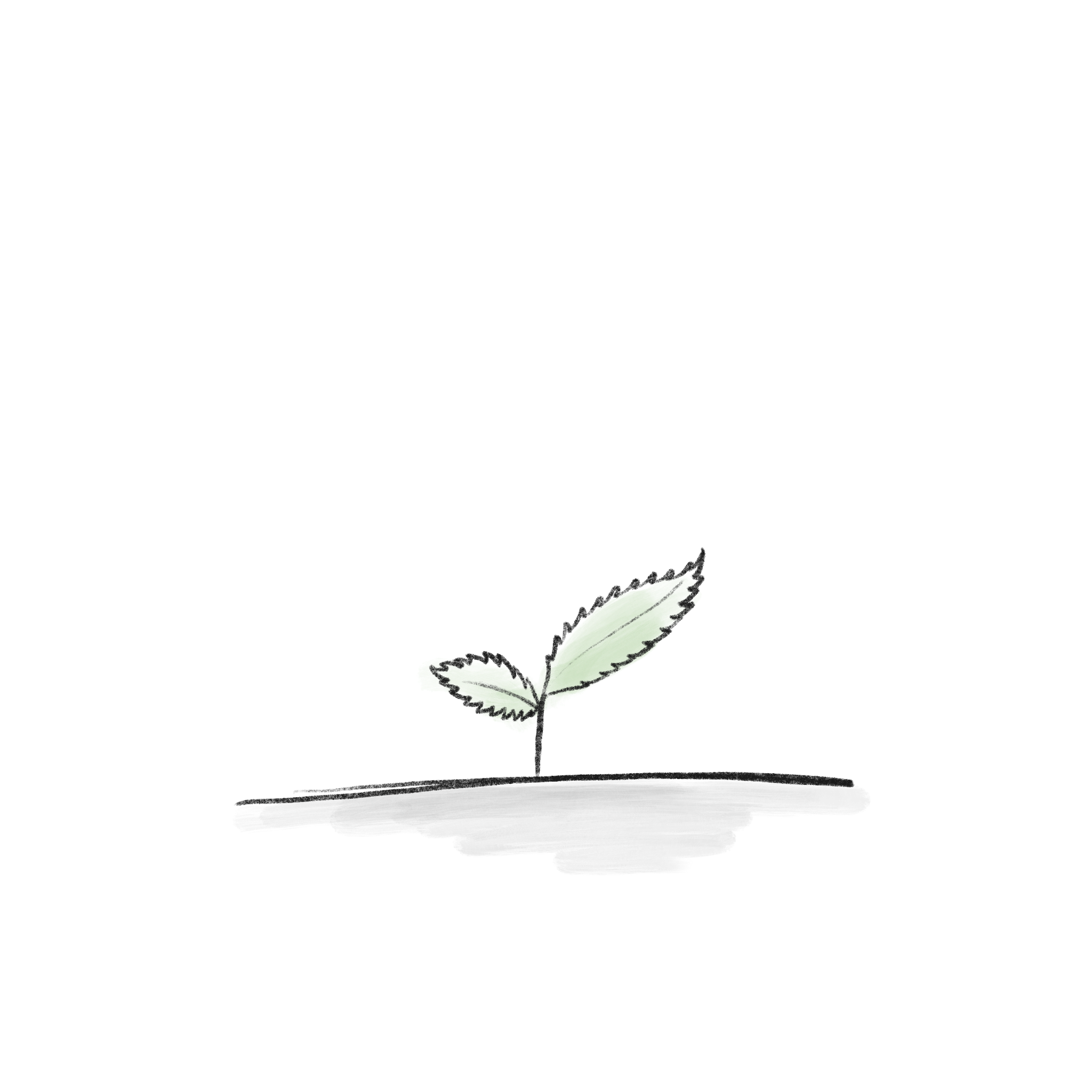 Mint-1.png