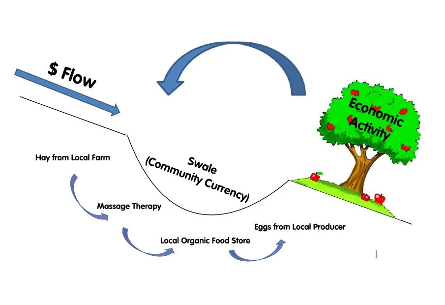 Above image by seedstock.ca (based on a sketch by Conrad Juraschka)