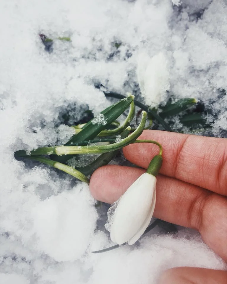 Coping with Seasonal Effective Disorder