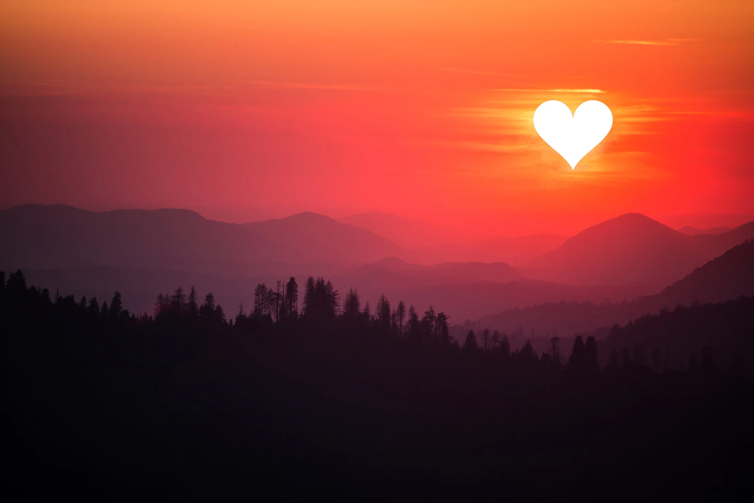 The-Most-Beautiful-Heart.jpg