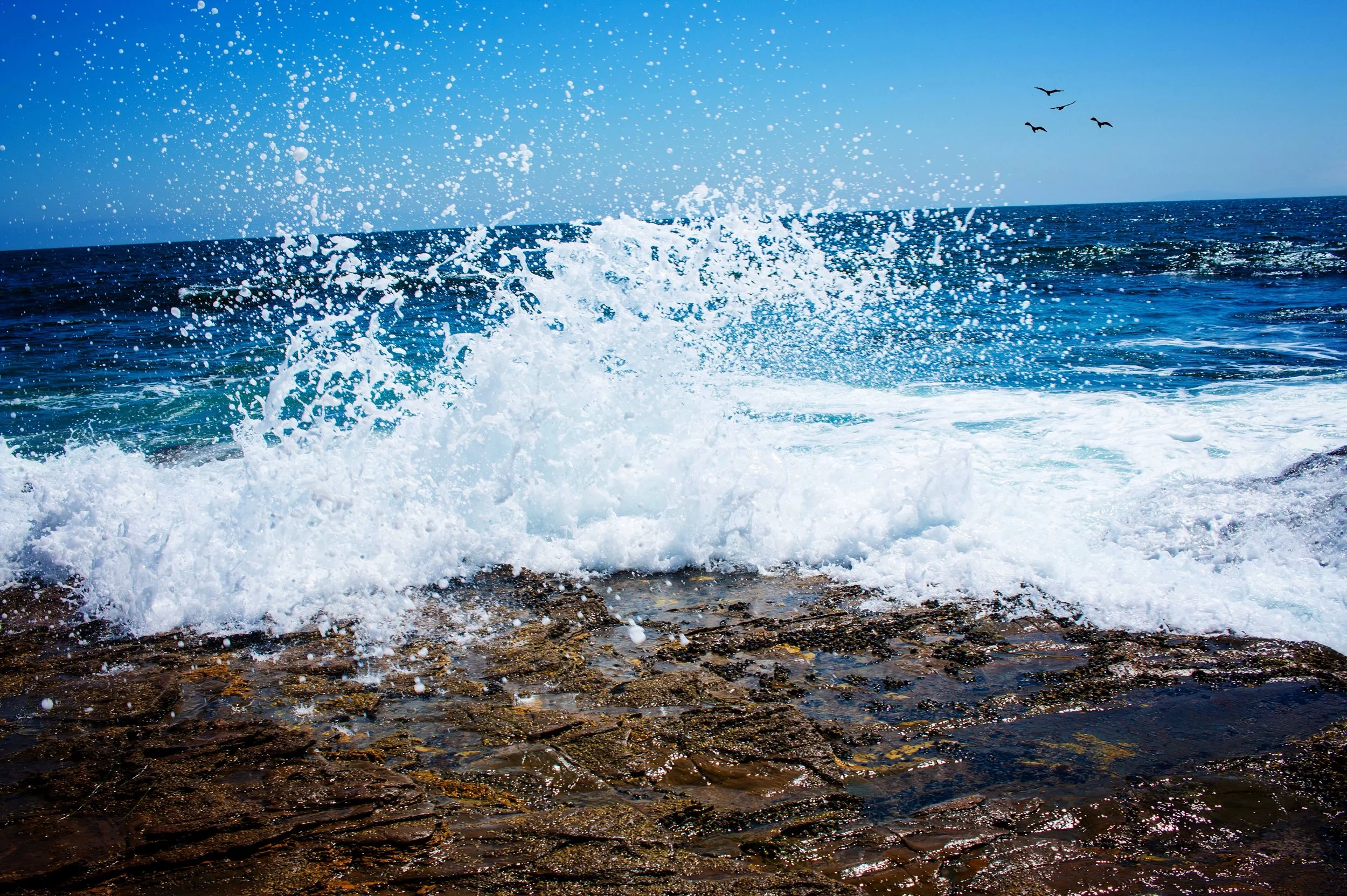 Episode 006: The Star Thrower