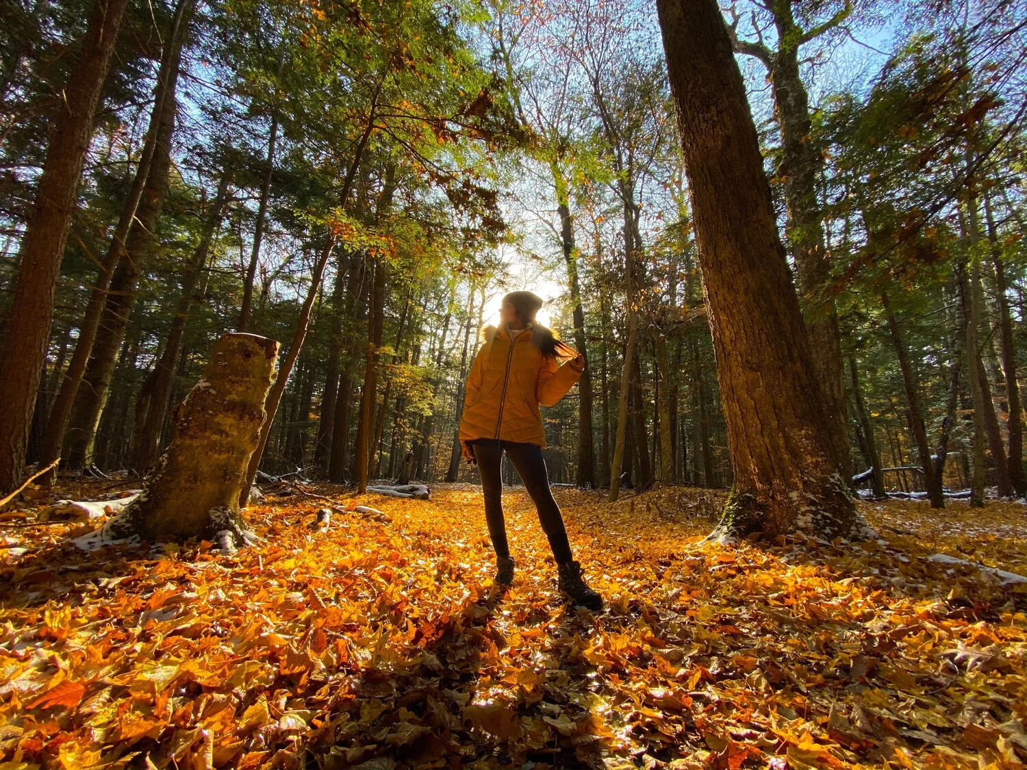 Travel Blog | The Midwest Weekend Getaway