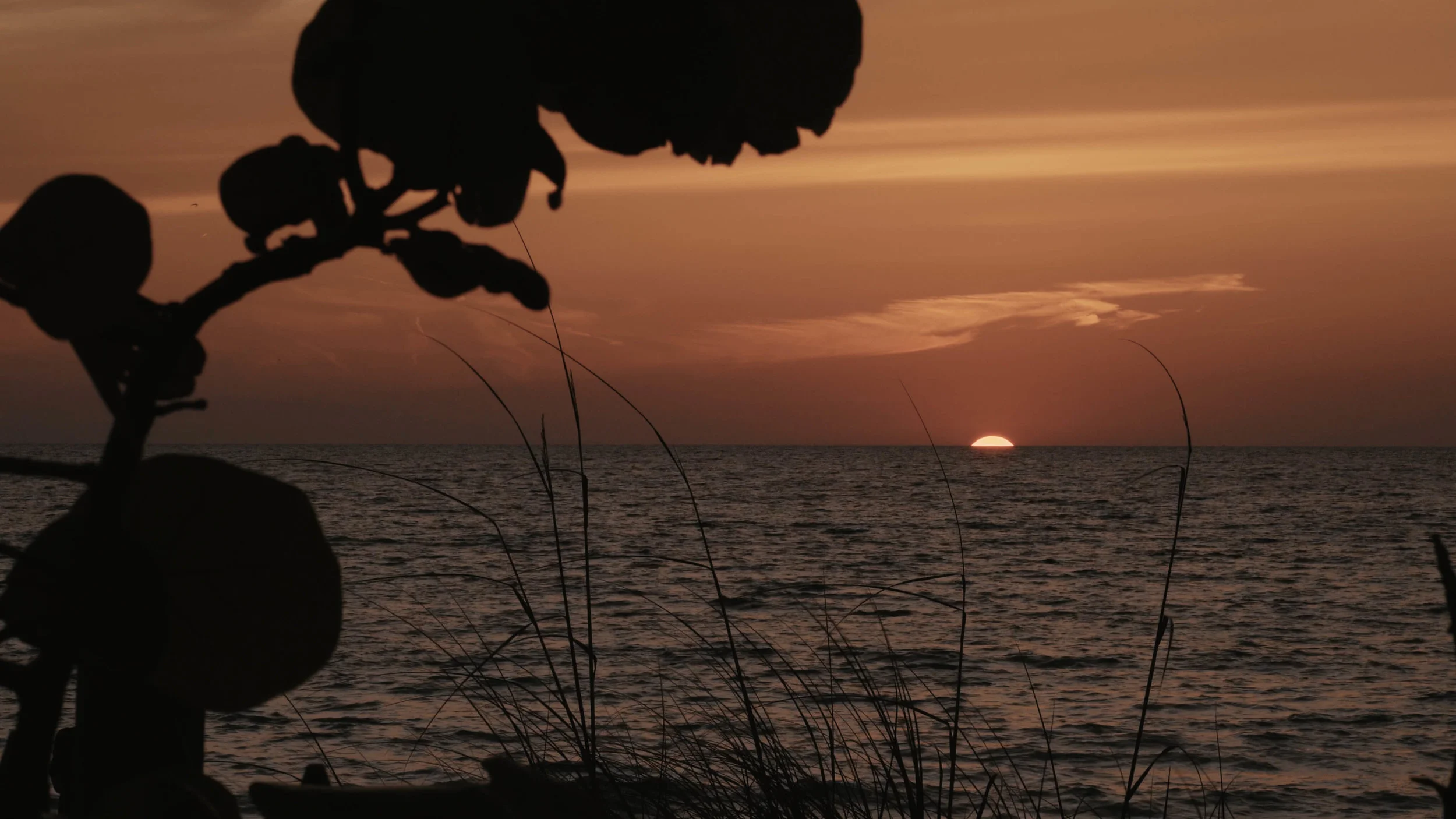 Anna Maria Island Sunset.jpg