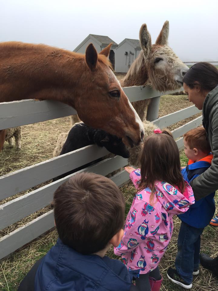 Mrs. Murray's Nursery School - Farm Field Trip