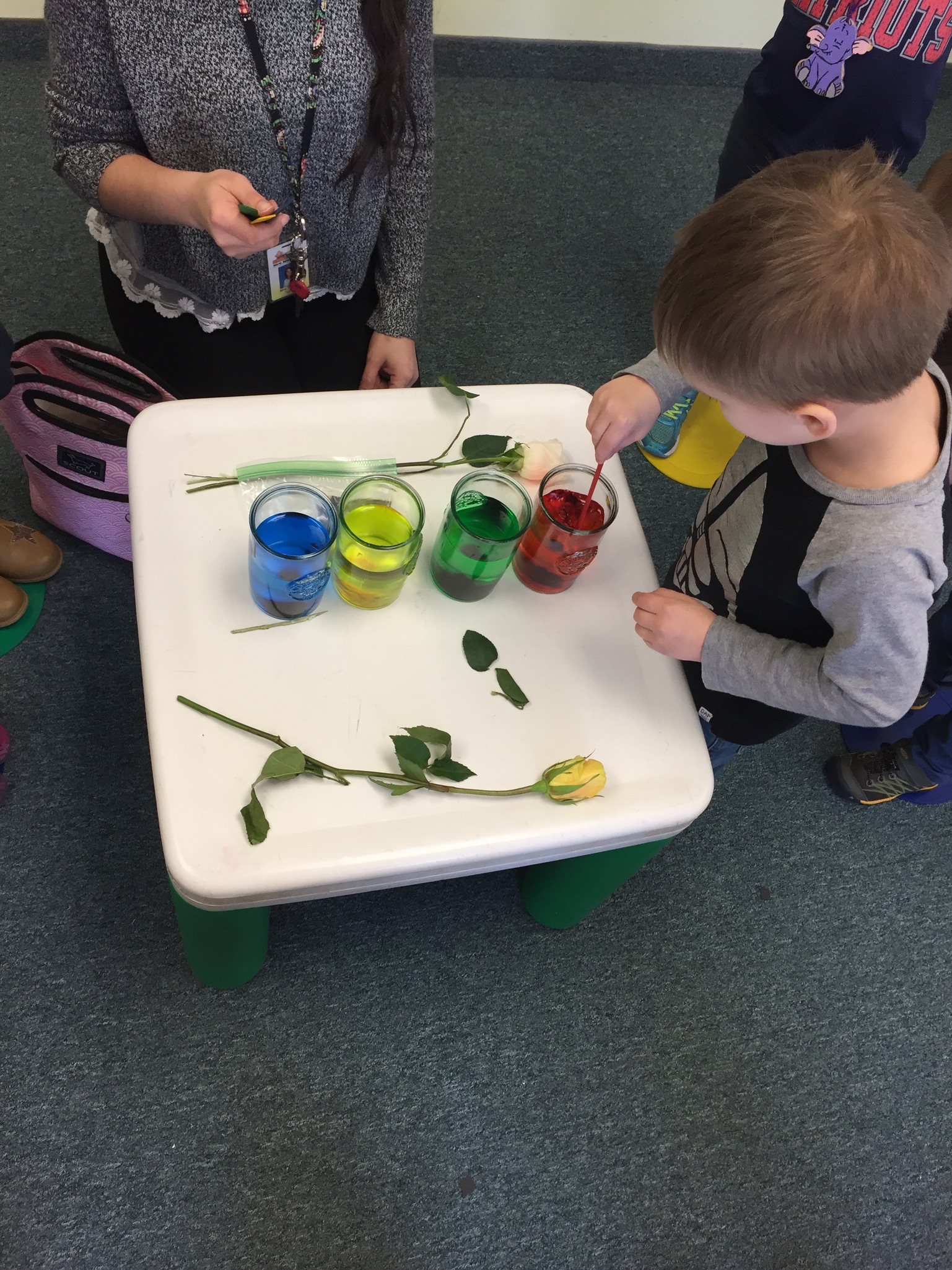 Mrs. Murray's Nursery School - Science