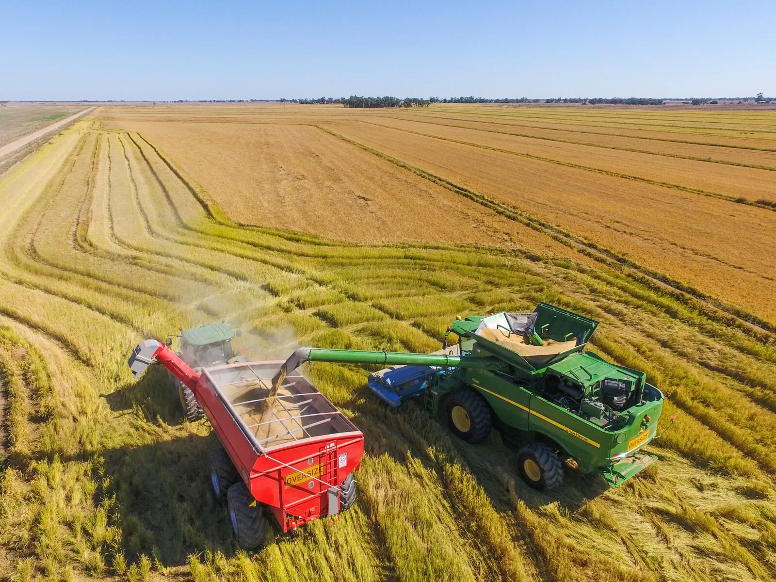 Farm Rotation Pull Crop Rotation Farm Oregon University Establishing Winter Cover Crops