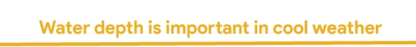 Web-Blog-Specials.jpg