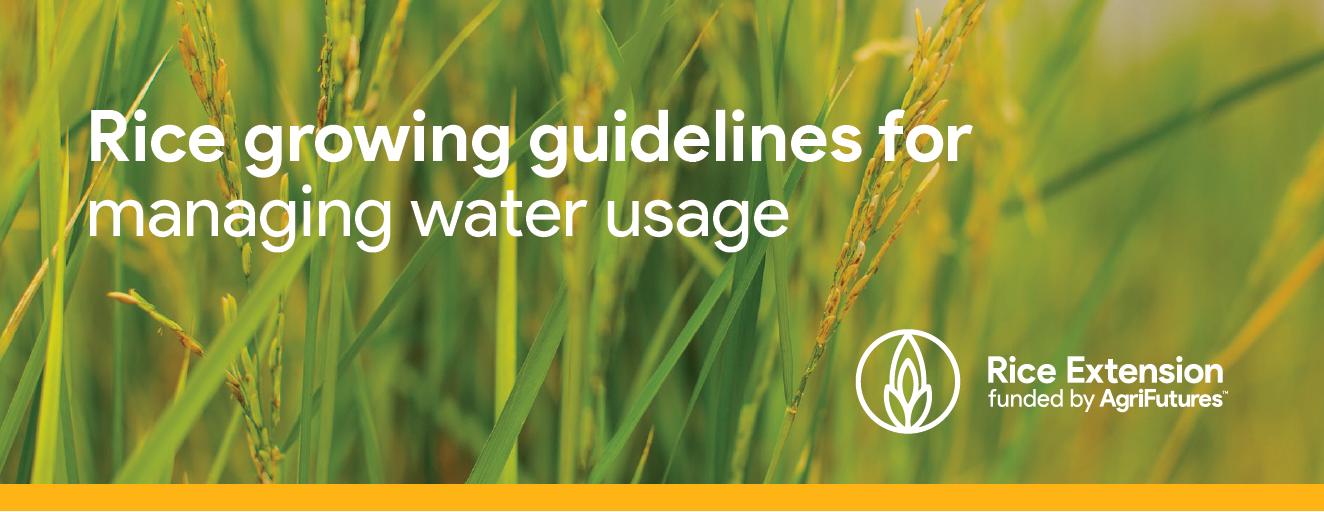 Rice water use header.png