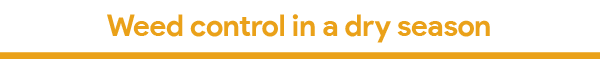 Sept 2018 Newsletter-03.png
