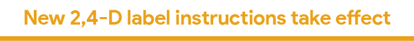 Oct 2018 Newsletter-04.png