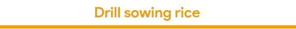 Oct 2018 Newsletter-10.png