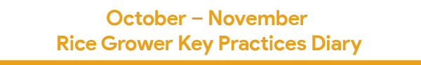 Oct 2018 Newsletter-11.png