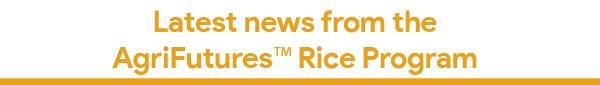 Jan1 18 Newsletter-02.png