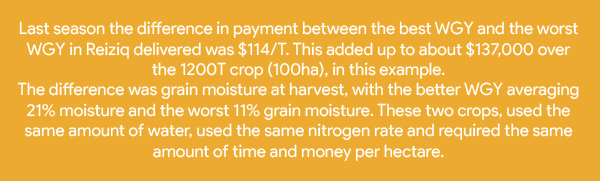 short of water insert-05.png