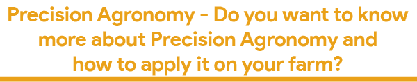 Precision Agronomy-06.png