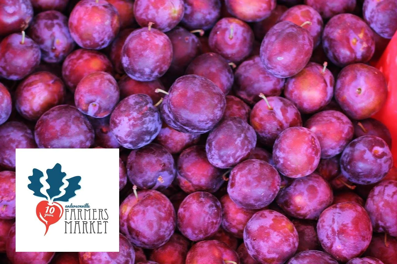 Unsupervised String Quartet at Andersonville Farmer's Market