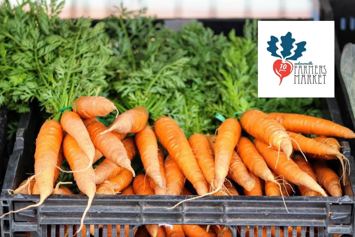 Unsupervised Chamber Ensemble at the Andersonville Farmer's Market
