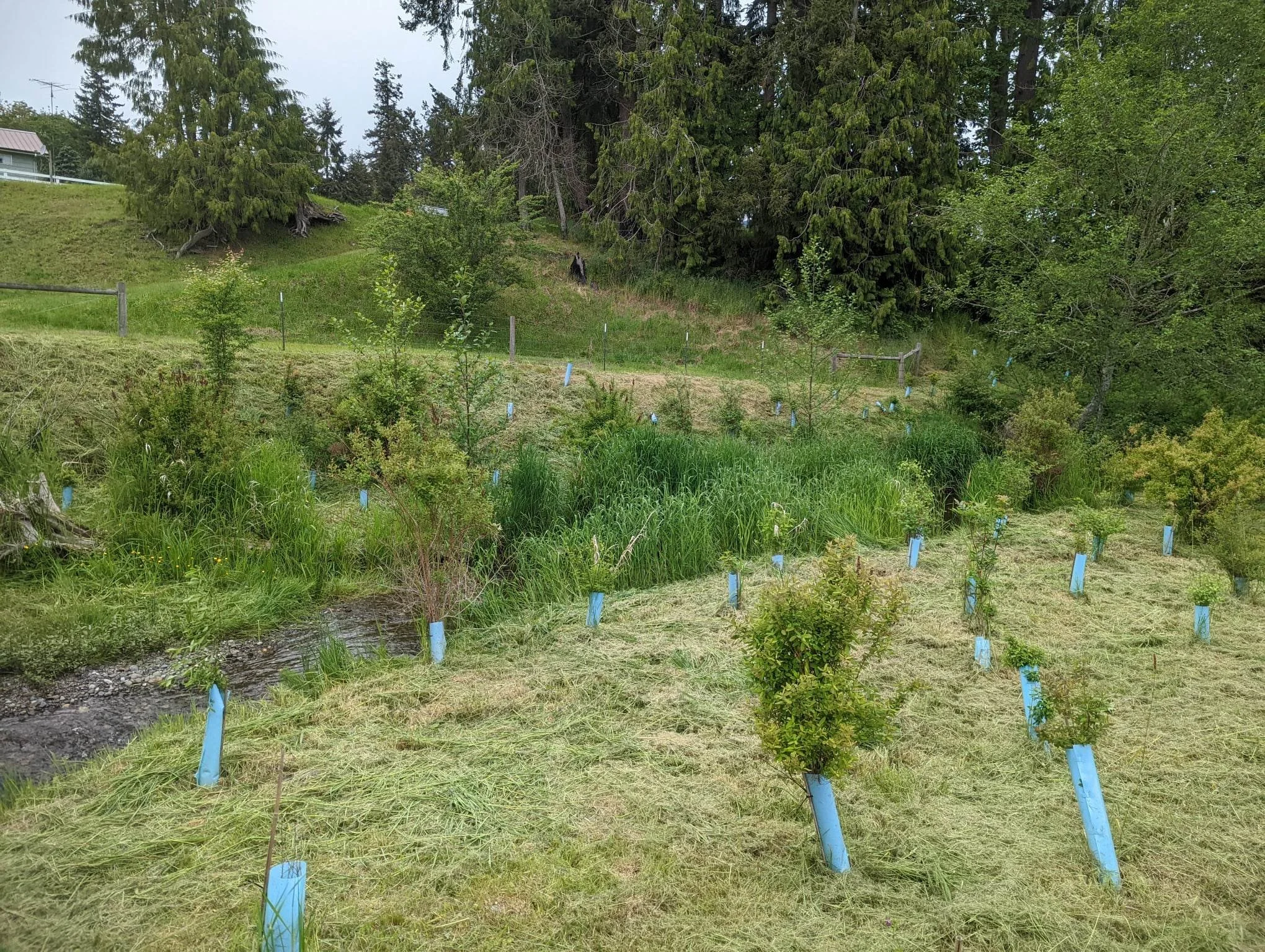 What is Leave no Trace Living?