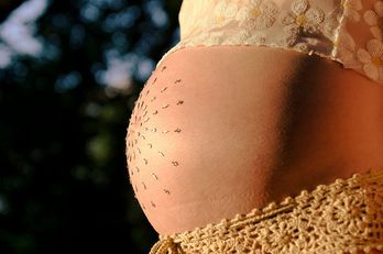 pregnancy.jpeg