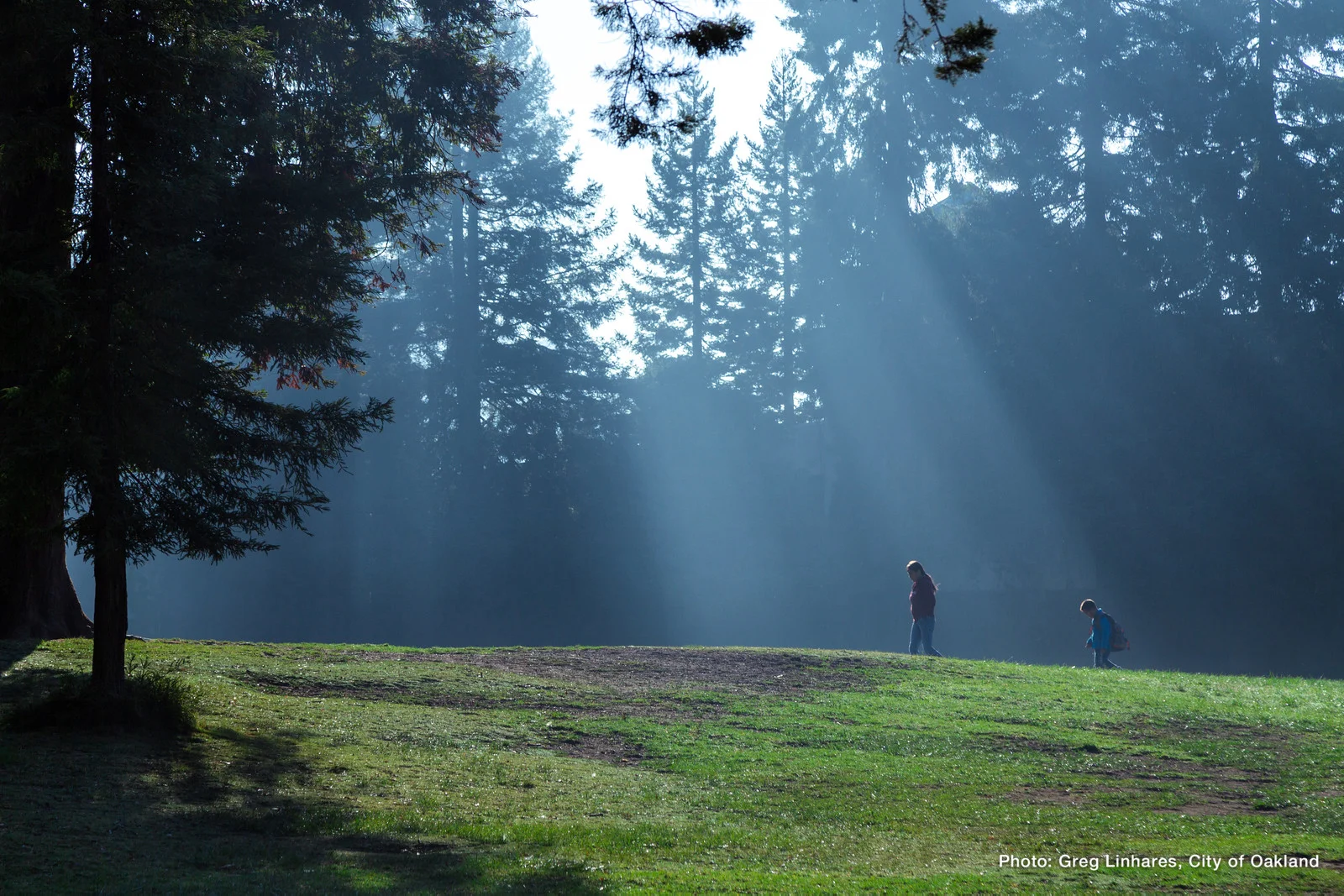 141110_0563_Montclair_Park_Oakland-X3.jpg