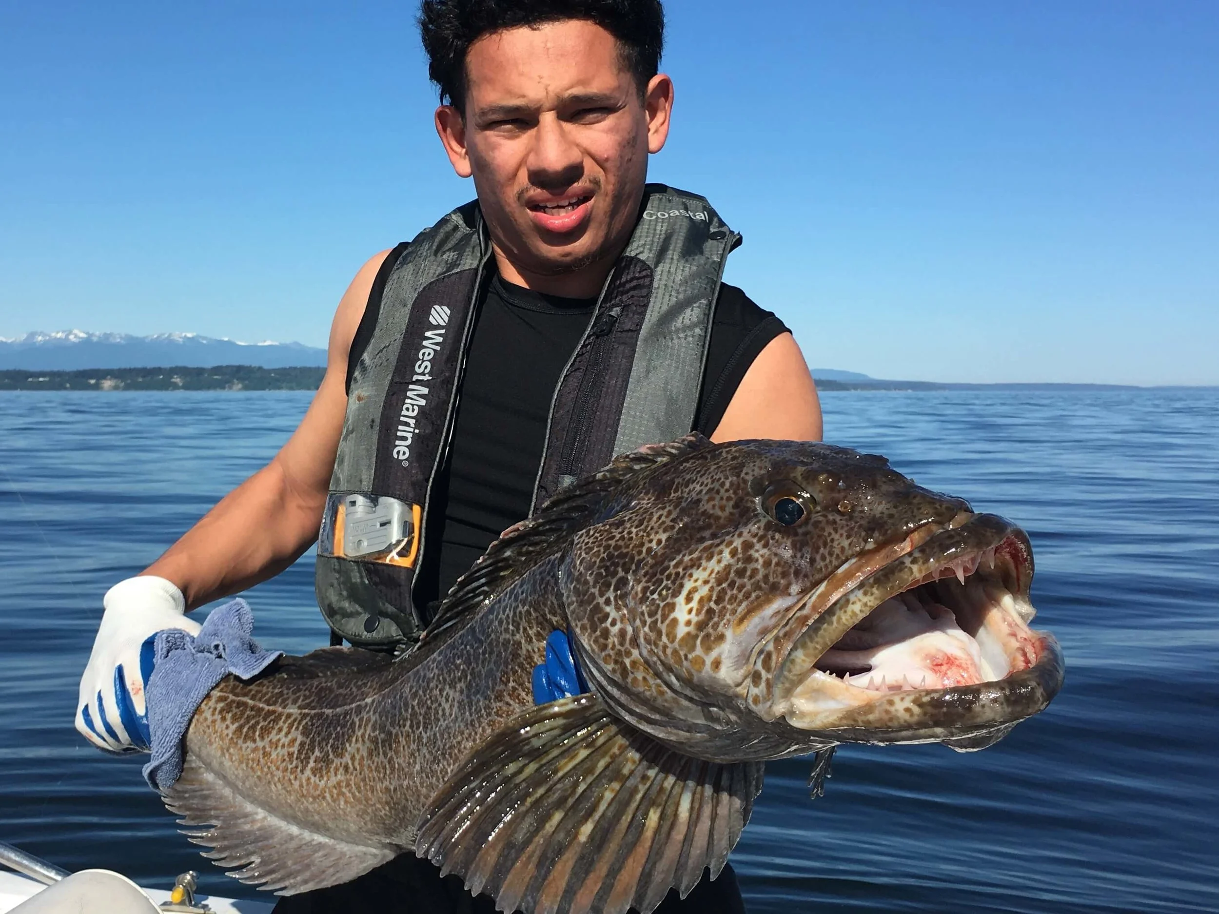 Hefty Seattle Lingcod held for the Photo-op