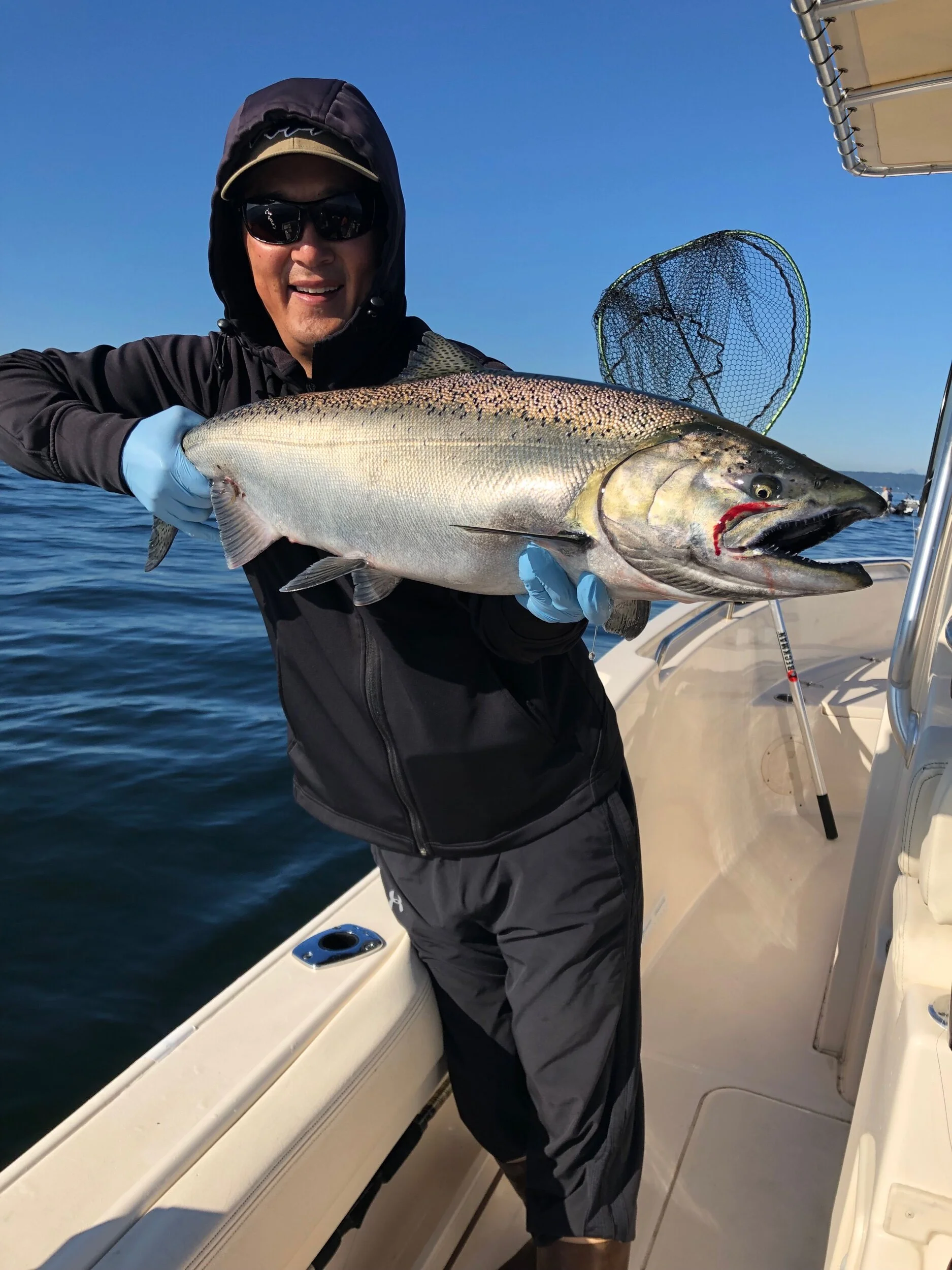 Beautiful Seattle king salmon