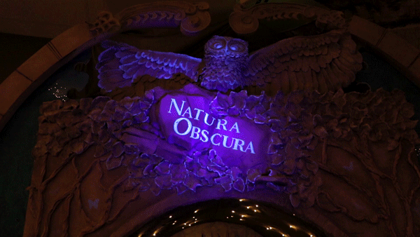 Natura Obscura