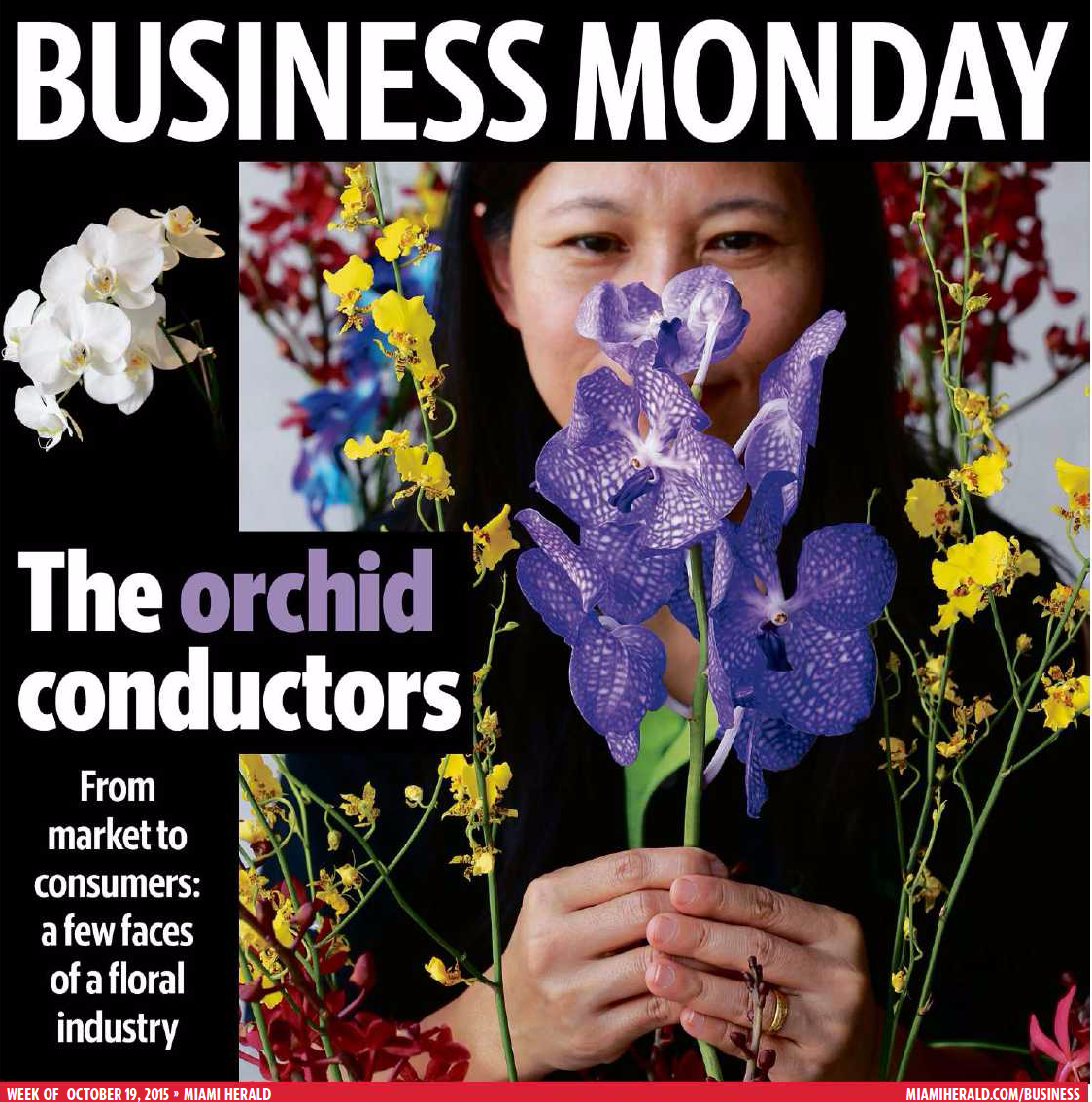 ORCHID COVER.png