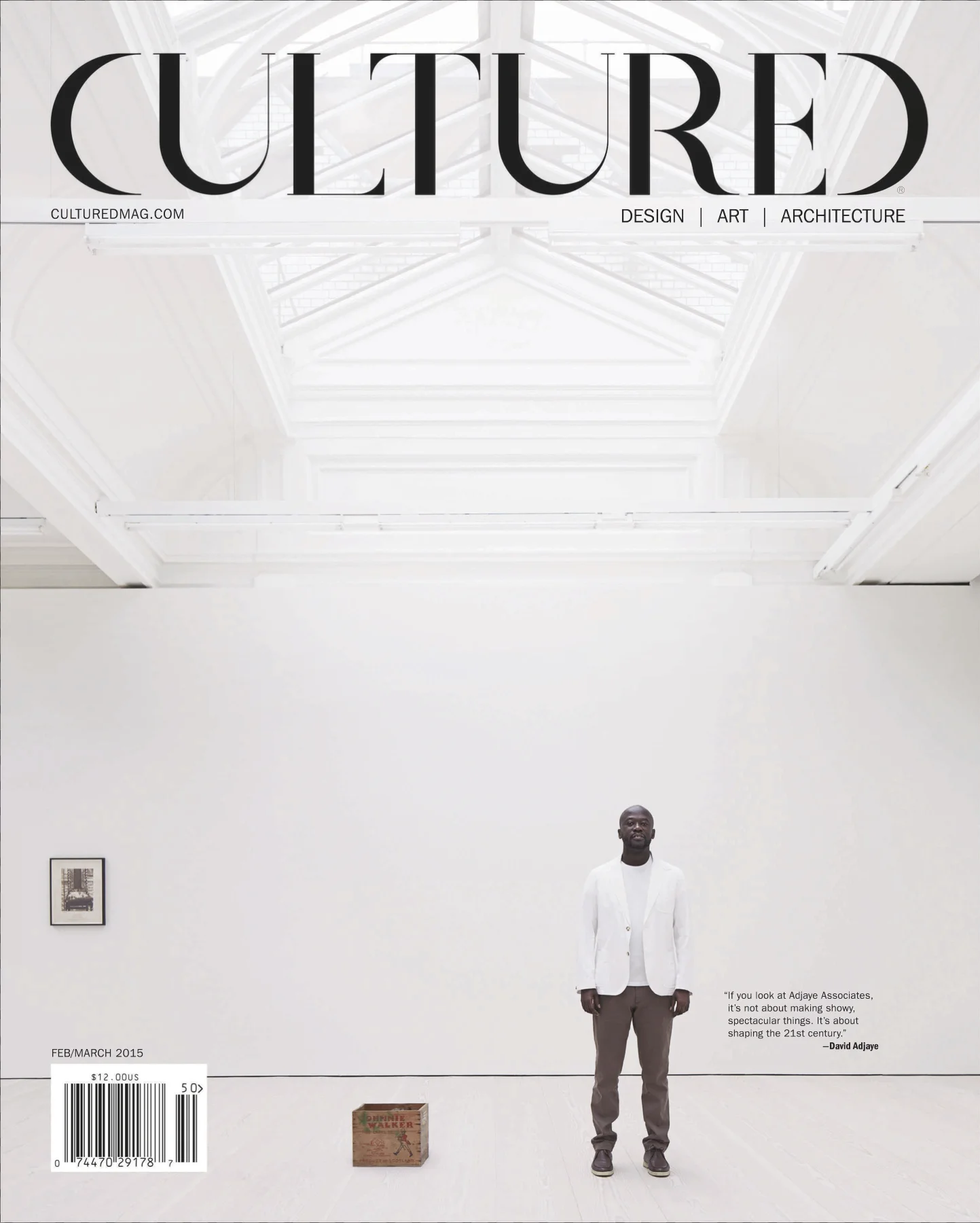 CULTURED FEB-MAR 2015 -- COLLECTOR BETH DE WOODY1.jpg