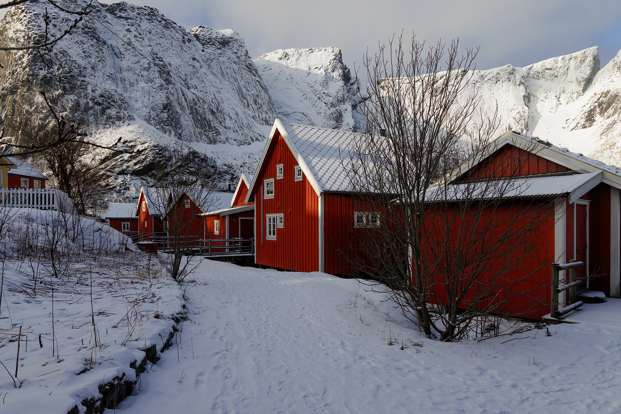 Reine