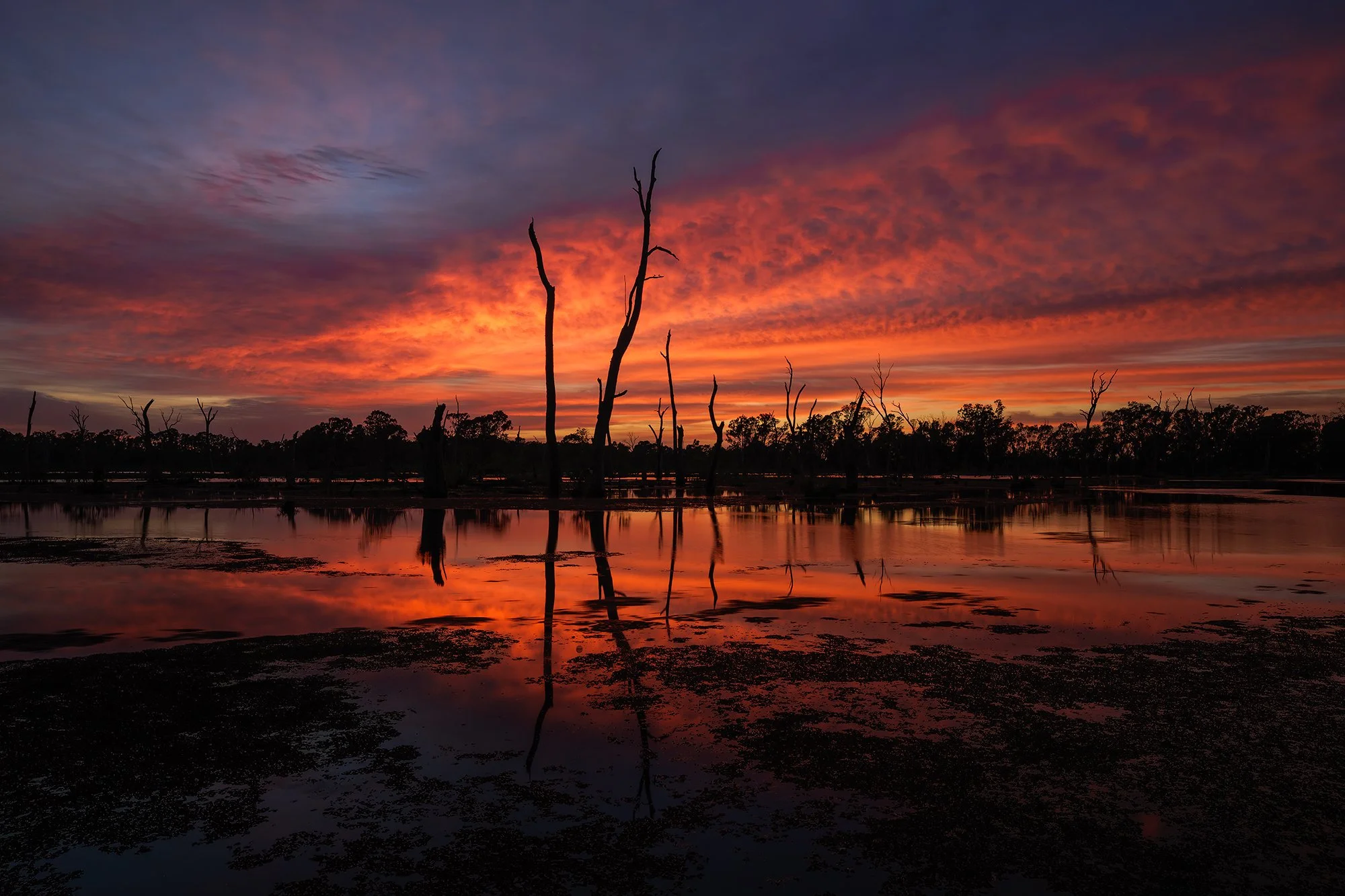 Gunbower Creek, Cohuna