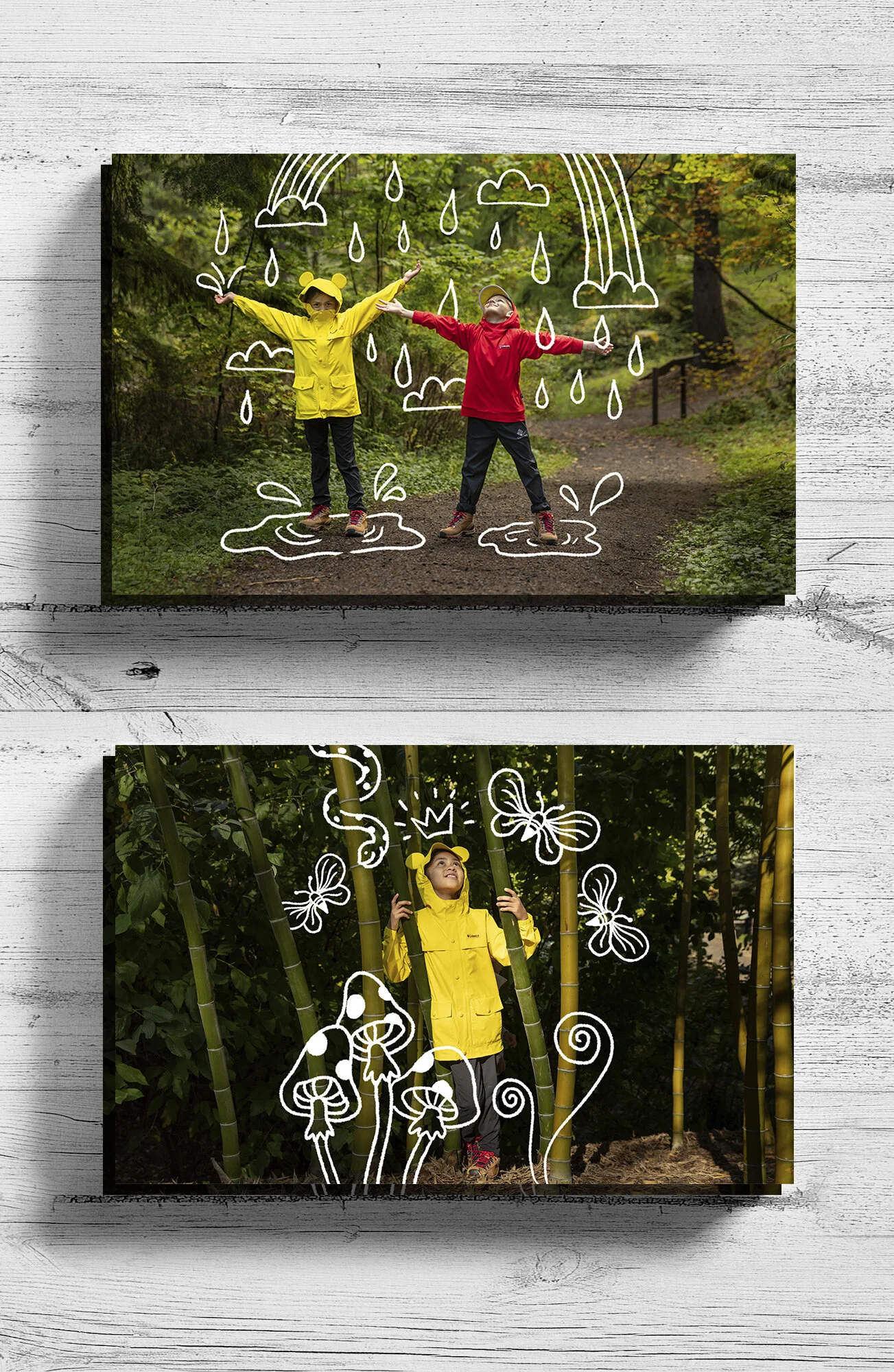 Mickey Photo Cards_Cropped_2.jpg