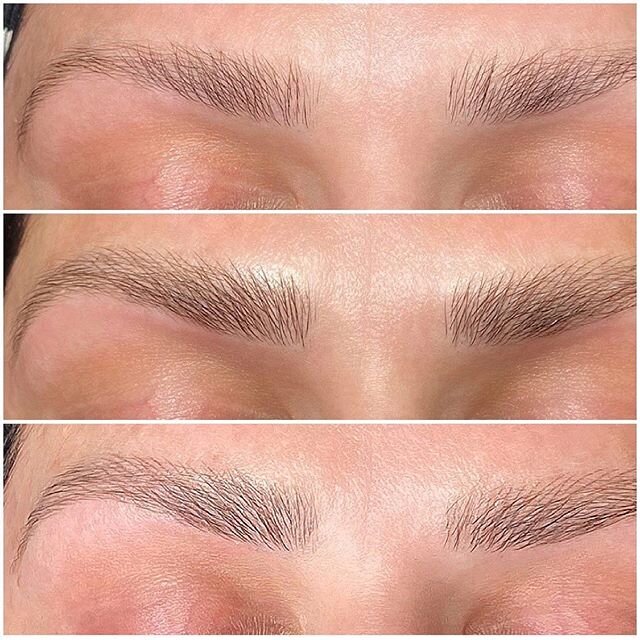 Before &bull; After &bull; Healed &bull; (After 1st Session). Here You Can See That I Have a Very Light Hand. The Reason I Prefer Light Strokes, Is Because When Built up Over Time The Brow Doesn&rsquo;t Turn Into a Muddy Mess Like So Many Brows Out T