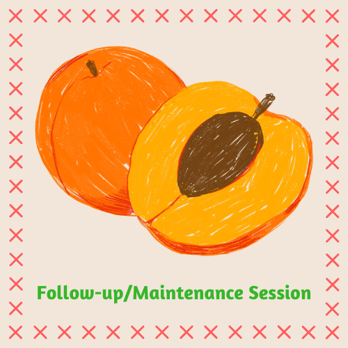 Follow-up/Maintenace Session