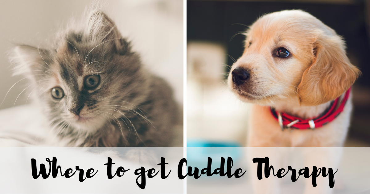 Where to get cuddle therapy — Vered Counseling | Kimberly Vered ...
