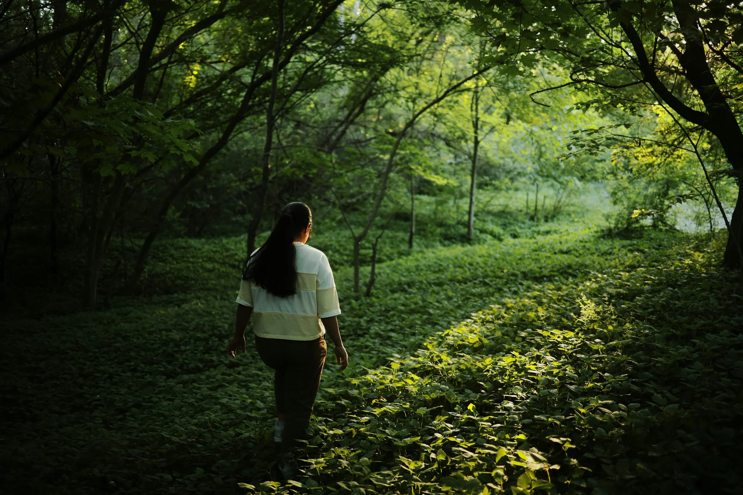 walking through a forest, suggesting ultra wealthy high net worth individual finding meaning and purpose through therapy coaching consultation services
