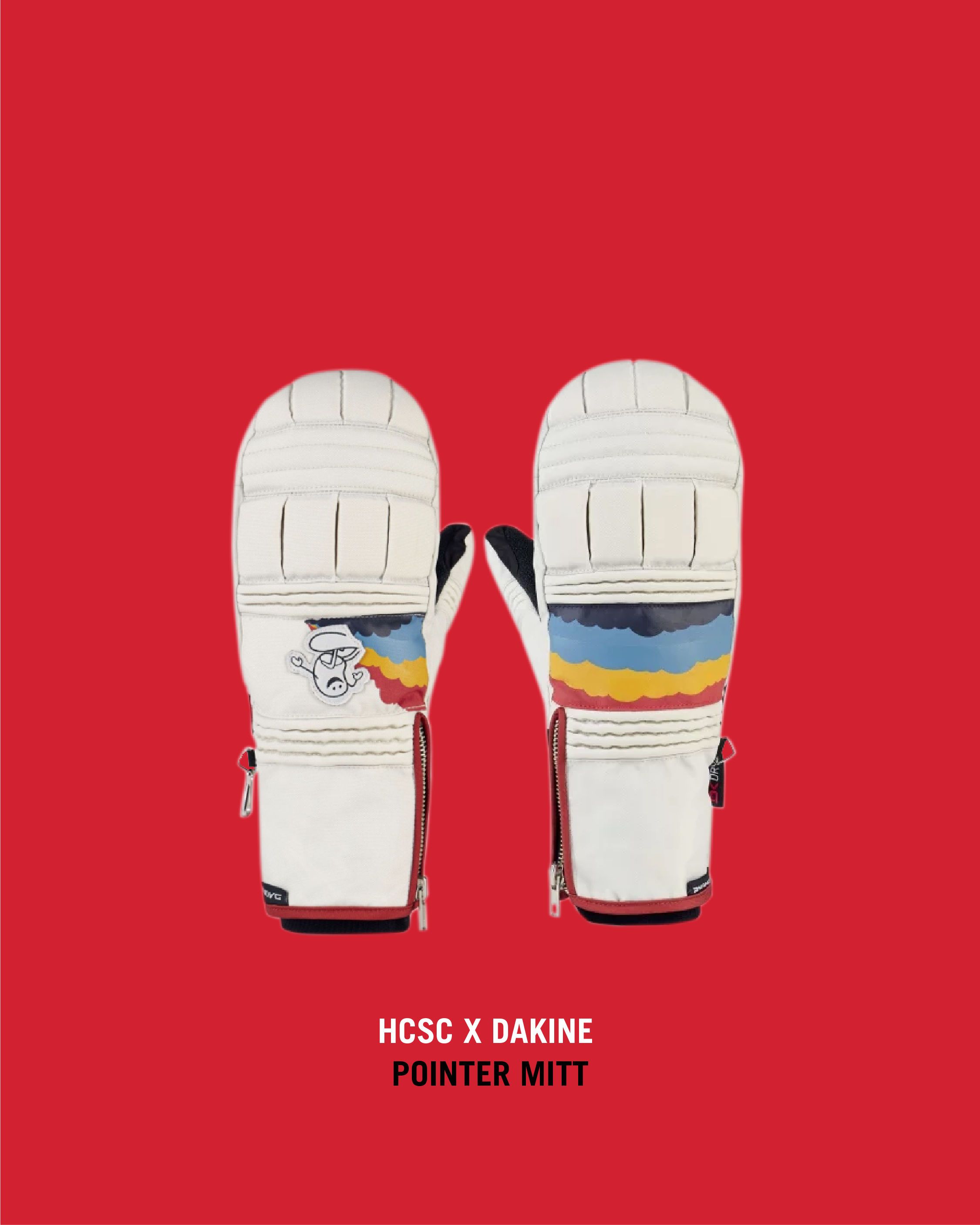 HCSC-Dakine-mittens-2020