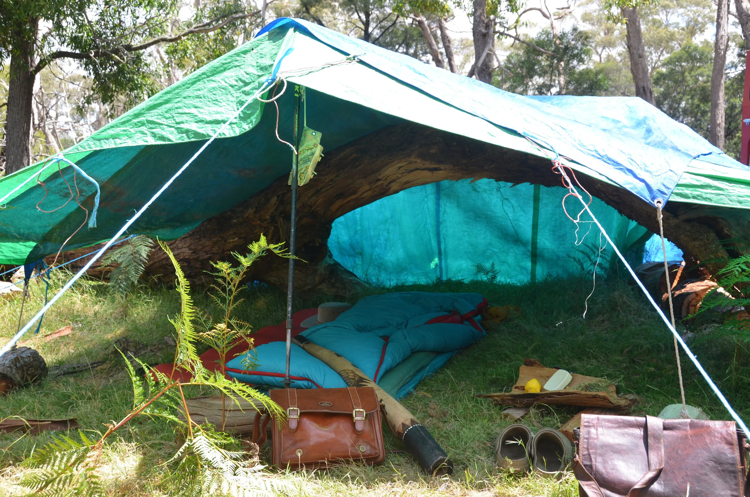 camp.JPG