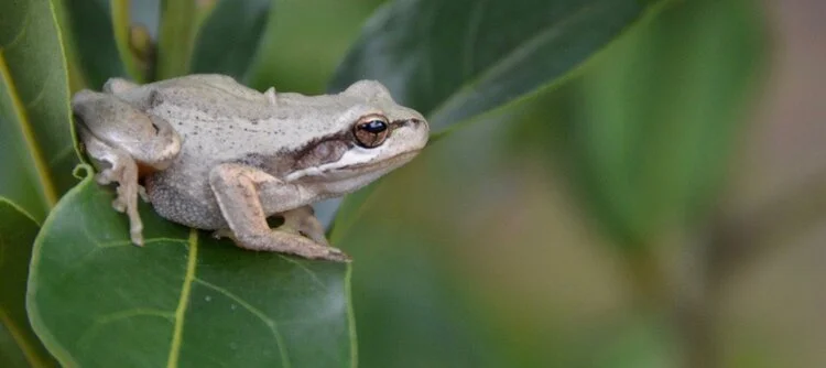 WC Off the Grid with Jon Muir.063.jpg