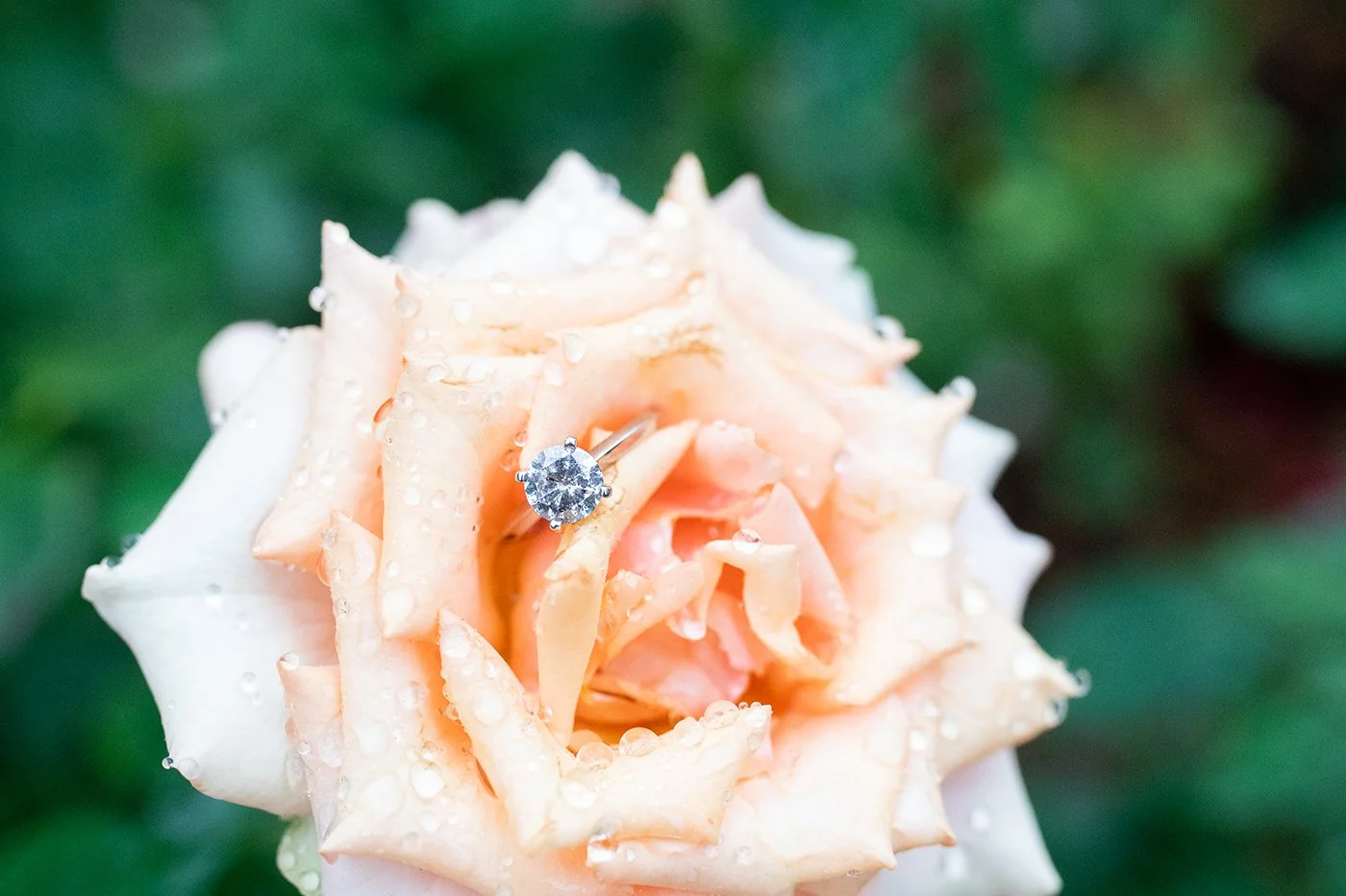 2022_AlyssaPierce_ENGAGED_PF-1296.JPG