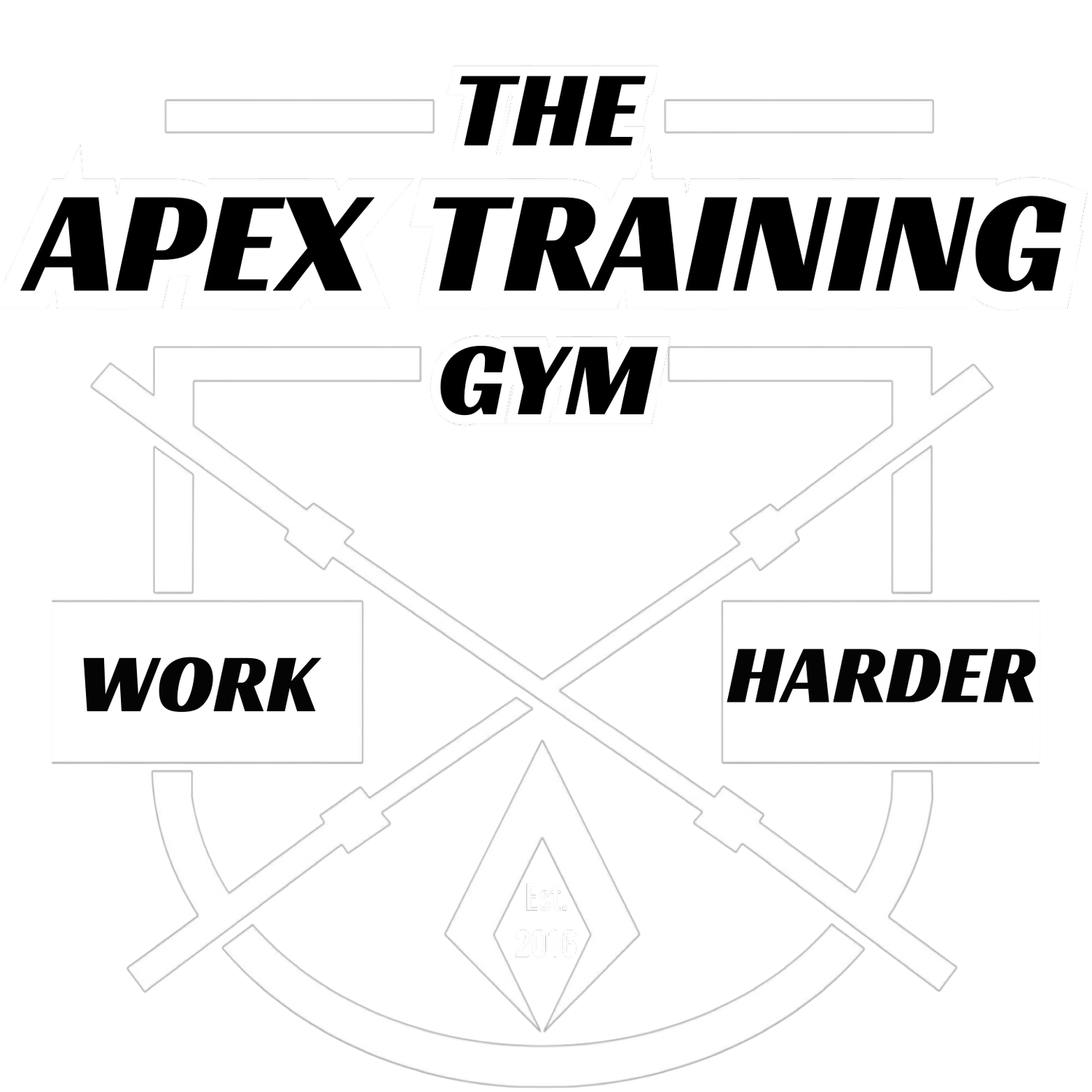 The Apex Training Gym